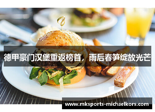 德甲豪门汉堡重返榜首，雨后春笋绽放光芒