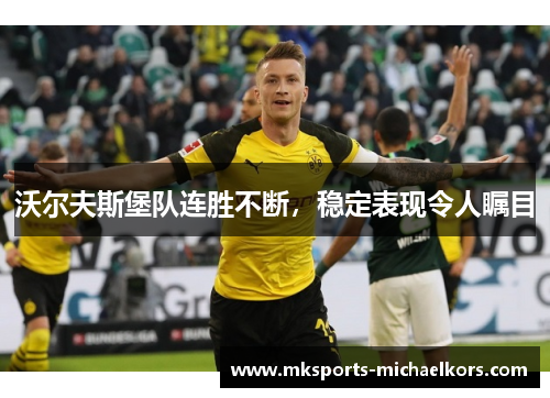 沃尔夫斯堡队连胜不断，稳定表现令人瞩目